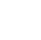 Business Litigation Icon